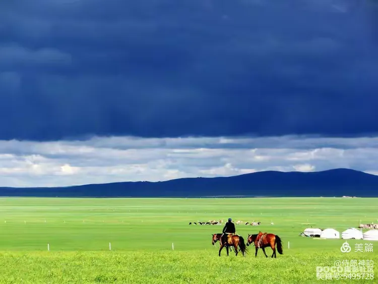 五绝【草原七月】五首